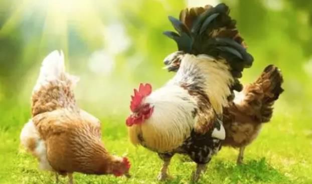 1550240800994421.jpg 360截图20190215222515113.jpg