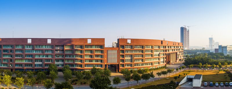 1599817807276694.jpg image003.jpg